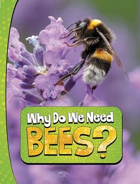 portada Why do we Need Bees?