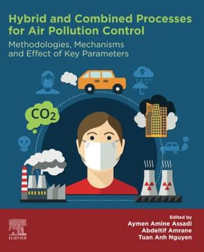 portada Hybrid and Combined Processes for air Pollution Control: Methodologies, Mechanisms and Effect of key Parameters (en Inglés)