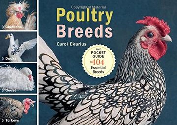 portada Poultry Breeds: Chickens, Ducks, Geese, Turkeys: The Pocket Guide to 104 Essential Breeds