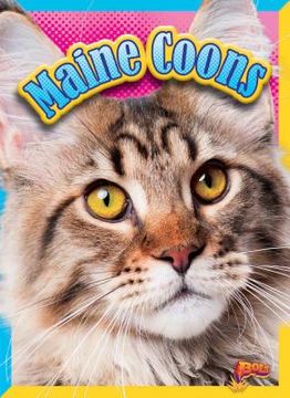 Maine Coons (en Inglés)