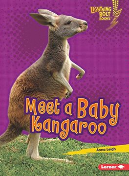 portada Meet a Baby Kangaroo (en Inglés)