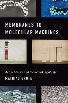portada Membranes to Molecular Machines: Active Matter and the Remaking of Life (Synthesis) (en Inglés)