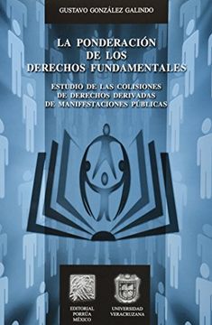 portada La Ponderacion de los Derechos Fundamentales (in Spanish)