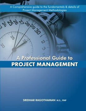 portada A Professional Guide to Project Management