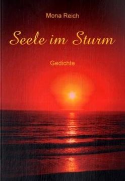 portada Seele Im Sturm (German Edition)