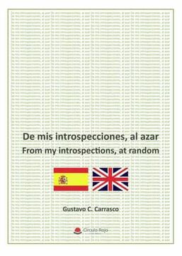 portada De mis Introspecciones, al Azar (in Spanish)