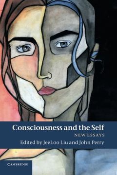 portada Consciousness and the Self: New Essays (in English)