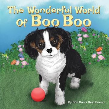 portada The Wonderful World Of Boo Boo (en Inglés)