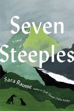 portada Seven Steeples (in English)