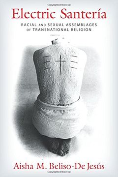 portada Electric Santería: Racial and Sexual Assemblages of Transnational Religion (Gender, Theory, and Religion) 