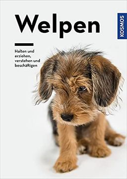 portada Welpen: Halten und Erziehen, Verstehen und Beschäftigen (en Alemán)