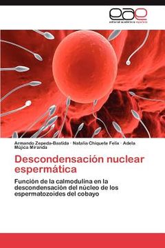 portada descondensaci n nuclear esperm tica (in English)