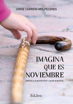 portada Imagina que es Noviembre (in Spanish)