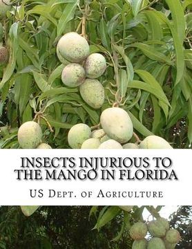 portada Insects Injurious To The Mango in Florida: Farmers' Bulletin 1257 (in English)