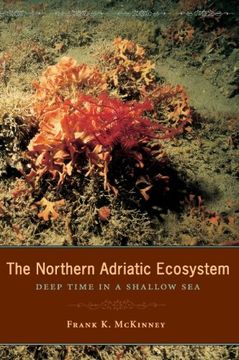 portada The Northern Adriatic Ecosystem: Deep Time in a Shallow sea (The Critical Moments and Perspectives in Earth History and Paleobiology) (en Inglés)