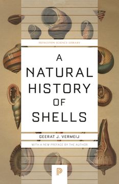 portada A Natural History of Shells: 124 (Princeton Science Library, 124) (in English)