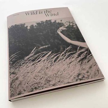 portada Simon Duijs - Wild is the Wind