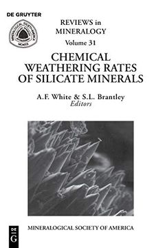 portada Chemical Weathering Rates of Silicate Minerals (Reviews in Mineralogy & Geochemistry) (in English)
