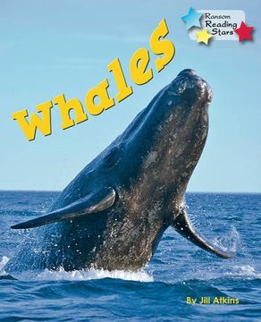 portada Whales (Reading Stars) (en Inglés)