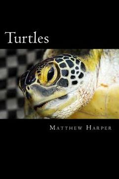 portada Turtles: A Fascinating Book Containing Turtle Facts, Trivia, Images & Memory Recall Quiz: Suitable for Adults & Children (en Inglés)