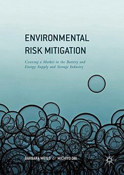 portada Environmental Risk Mitigation: Coaxing a Market in the Battery and Energy Supply and Storage Industry