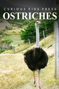 portada Ostrich - Curious Kids Press