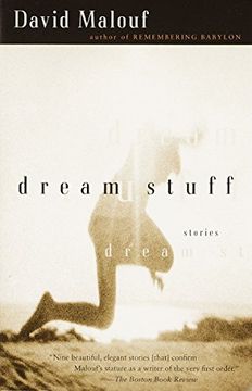 portada Dream Stuff: Stories (en Inglés)