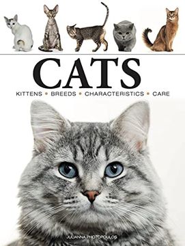 portada Cats (in English)
