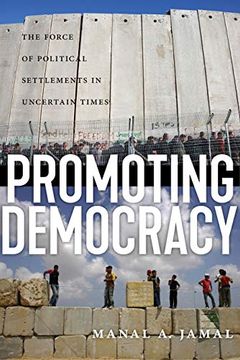 portada Promoting Democracy: The Force of Political Settlements in Uncertain Times (en Inglés)