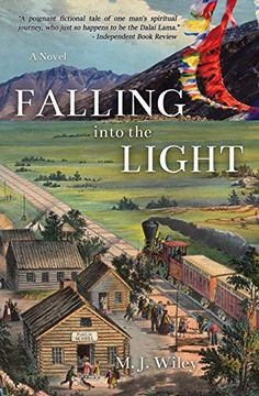 portada Falling Into the Light (in English)