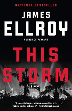 portada This Storm (in English)