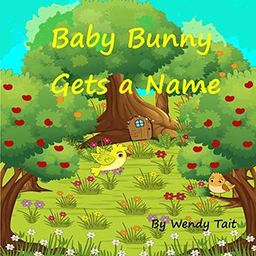 portada Baby Bunny Gets a Name (en Inglés)