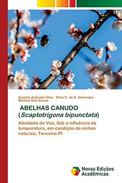 portada Abelhas Canudo (en Portugués)