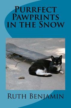 portada Purrfect Pawprints in the Snow (en Inglés)