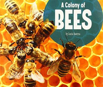 portada A Colony of Bees (Animal Groups) (en Inglés)
