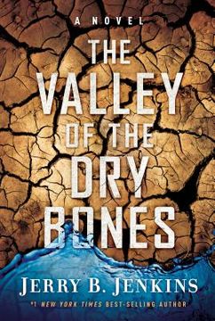 portada The Valley of dry Bones: A Novel (End Times) (in English)