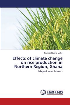 portada Effects of Climate Change on Rice Production in Northern Region, Ghana