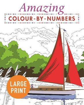 portada Amazing Colour-By-Numbers Large Print 