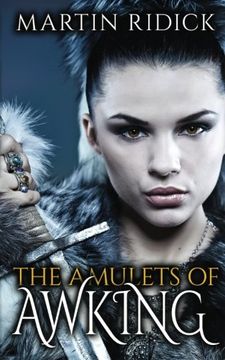 portada The Amulets of Awking