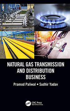 portada Natural gas Transmission and Distribution Business (en Inglés)