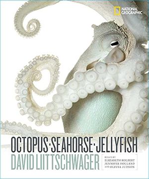 portada Octopus, Seahorse, Jellyfish (en Inglés)