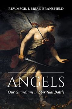 portada Angels: Our Guardians in Spiritual Battle (en Inglés)