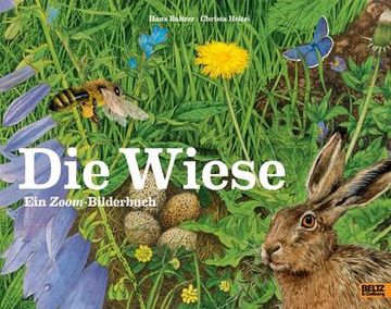 portada Die Wiese (en Alemán)