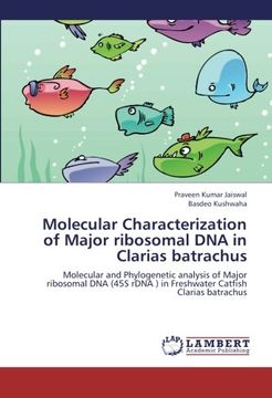 portada Molecular Characterization of Major ribosomal DNA in Clarias batrachus: Molecular and Phylogenetic analysis of Major ribosomal DNA (45S rDNA ) in Freshwater Catfish Clarias batrachus