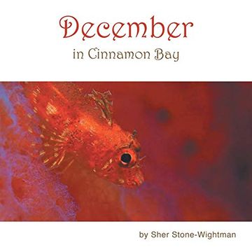 portada December in Cinnamon bay (en Inglés)