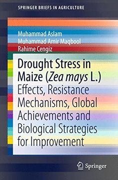 portada Drought Stress in Maize (Zea Mays L. ): Effects, Resistance Mechanisms, Global Achievements and Biological Strategies for Improvement (Springerbriefs in Agriculture) (en Inglés)