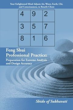 portada Feng Shui Professional Practice: Preparation for Extreme Analysis and Design Accuracy (in English)