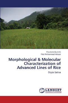 portada Morphological & Molecular Characterization of Advanced Lines of Rice