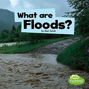 portada What are Floods? (Little Pebble: Wicked Weather) (en Inglés)