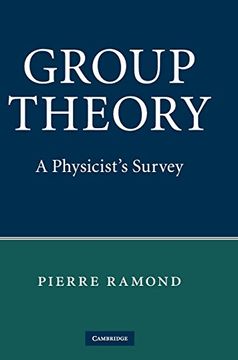 portada Group Theory Hardback (en Inglés)